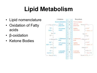 Lipid Metabolism   Lipid nomenclature   Oxidation of Fatty  acids   -oxidation