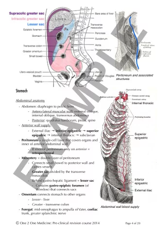 EXAMPLE  Peritoneum and associated  structures  Stomach  !  Abdominal anatomy  Internal thoracic  -