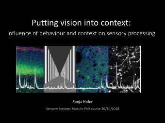 Putting vision into context:  Influence of behaviour and context on sensory processing  Sonja Hofer