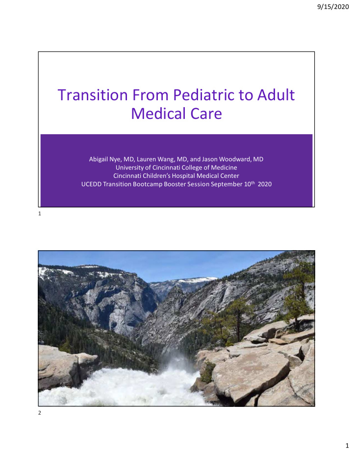 transition from pediatric to adult medical care