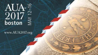 Surgical Treatment of Female Stress Urinary  Incontinence: AUA/SUFU Guideline  Kathleen C. Kobashi,