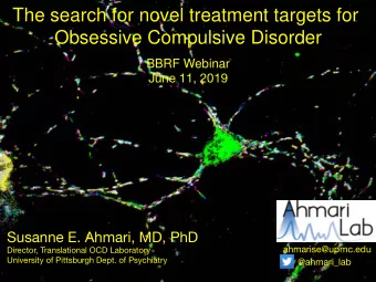 The search for novel treatment targets for  Obsessive Compulsive Disorder  BBRF Webinar  June 11,
