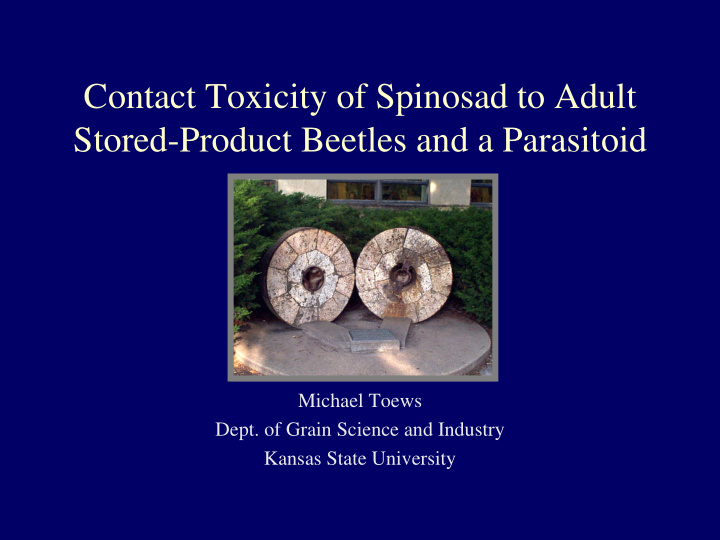 contact toxicity of spinosad to adult stored product
