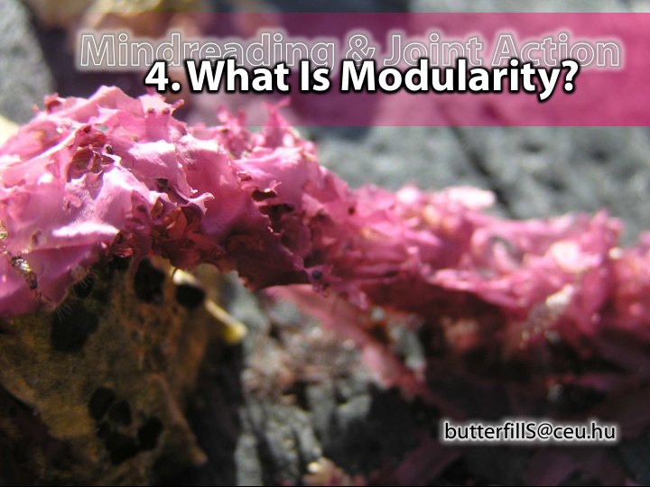 4 what is modularity