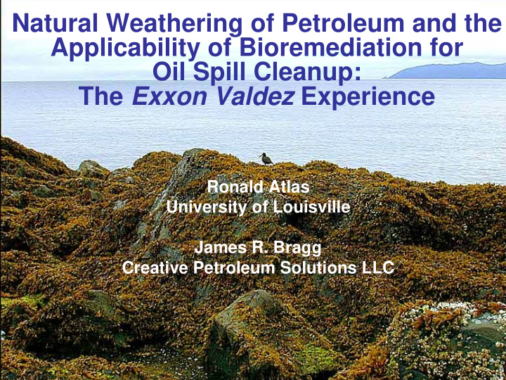 natural weathering of petroleum and the applicability of