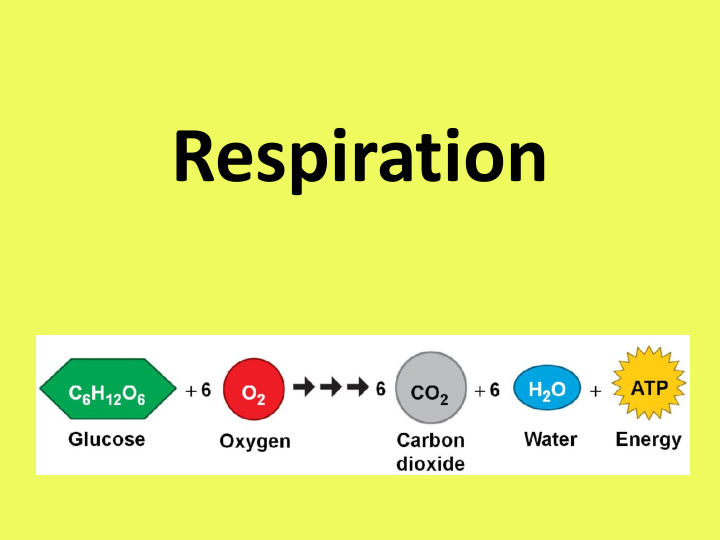 respiration what is the purpose of respiration terms to