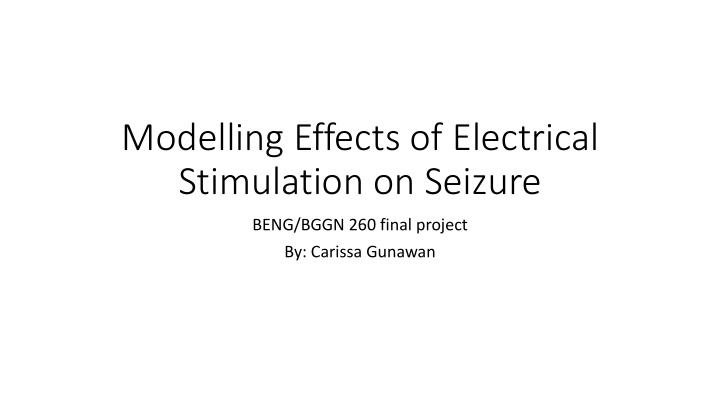 modelling effects of electrical stimulation on seizure