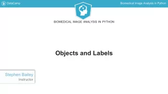 Objects and Labels  Stephen Bailey  Instructor  DataCamp  Biomedical Image Analysis in Python
