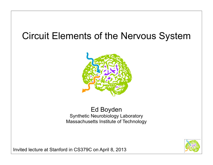 circuit elements of the nervous system
