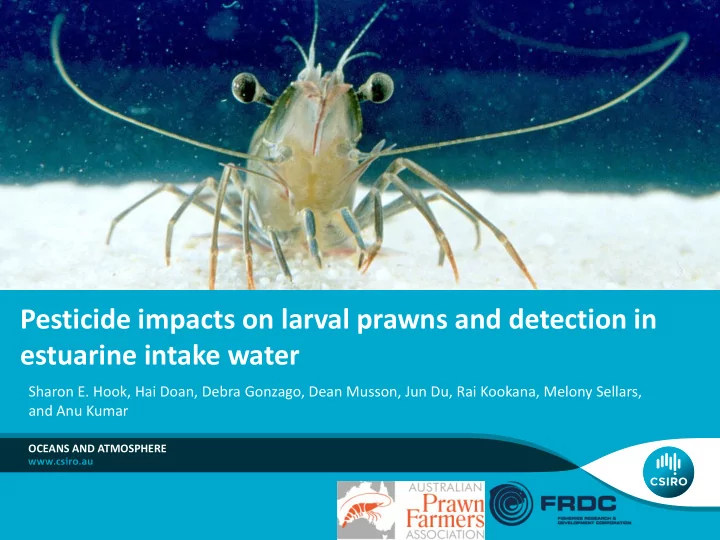 pesticide impacts on larval prawns and detection in