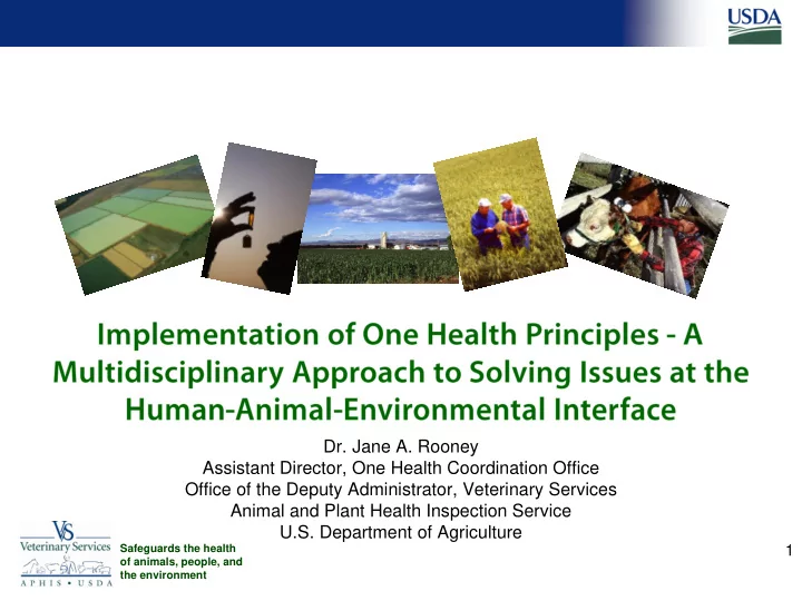 office of the deputy administrator veterinary services