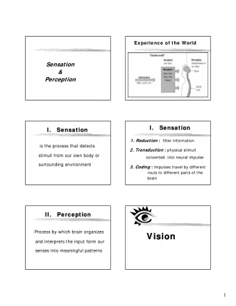 Vision  Vision  and interprets the input form our  senses into meaningful patterns  1  Light Waves