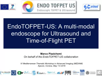 EndoTOFPET-US: A multi-modal  endoscope for Ultrasound and  Time-of-Flight PET  Marco Pizzichemi