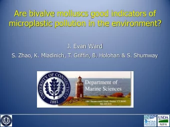 Are bivalve molluscs good indicators of  microplastic pollution in the environment?  J. Evan Ward