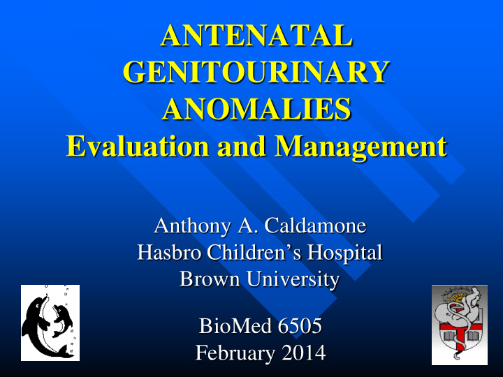 antenatal genitourinary anomalies evaluation and