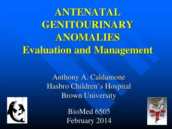 ANTENATAL  GENITOURINARY ANOMALIES  Evaluation and Management  Anthony A. Caldamone  Hasbro