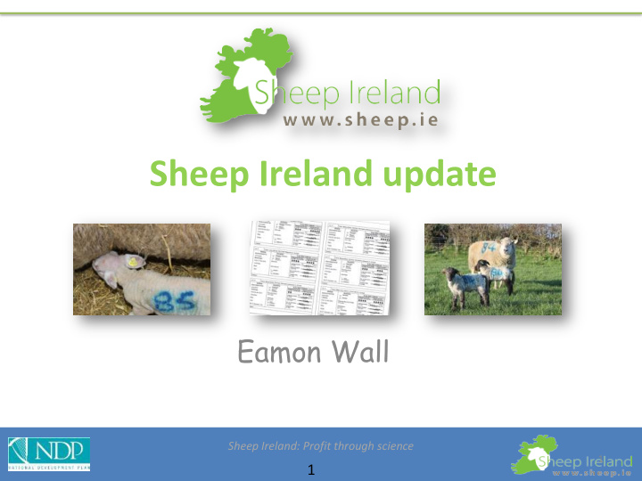 sheep ireland update