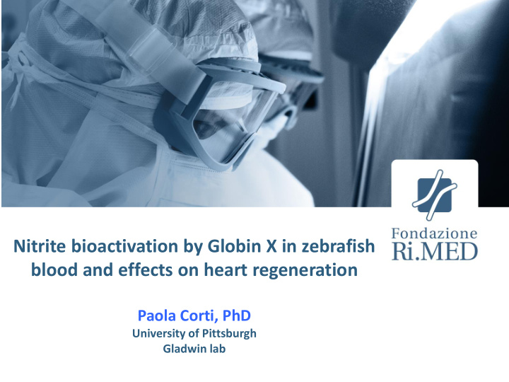 nitrite bioactivation by globin x in zebrafish blood and