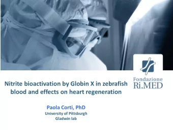 Nitrite bioactivation by Globin X in zebrafish  blood and effects on heart regeneration  Paola