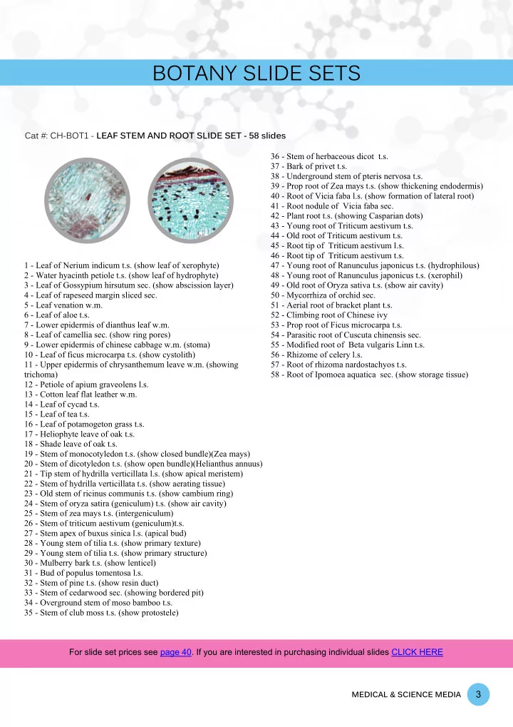 botany slide sets