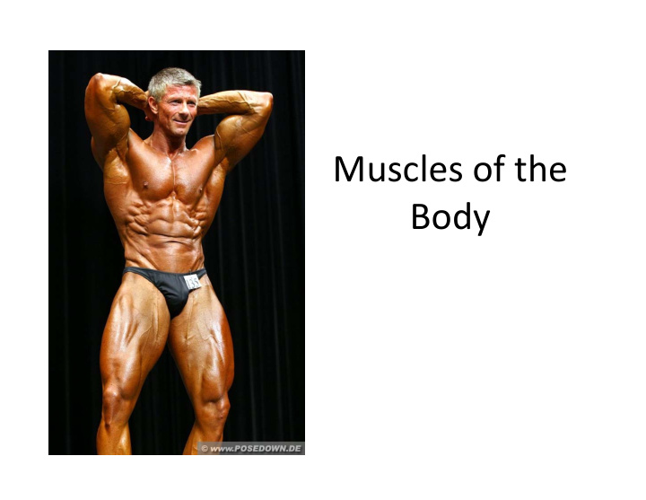 muscles of the body muscles of the body