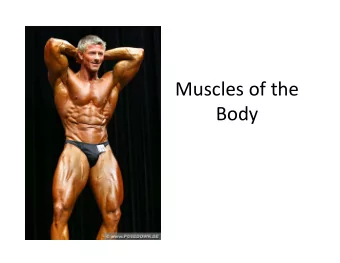 Muscles of the  Body Muscles of the Body  I. Movement and Leverage Systems  II. Muscles action