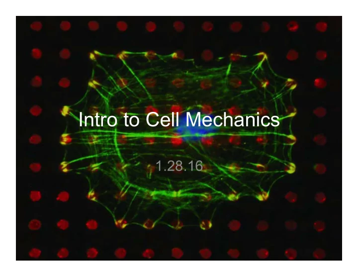 intro to cell mechanics
