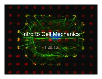 Intro to Cell Mechanics  1.28.16  Biological Hierarchy- Whole Body  Tennis Anatomy (2011)