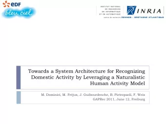 Towards a System Architecture for Recognizing  Domestic Activity by Leveraging a Naturalistic