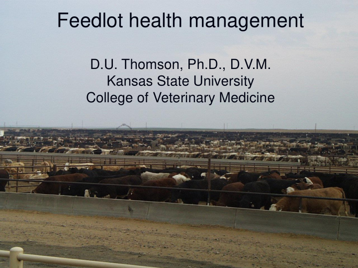 feedlot health management