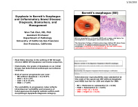 barrett s esophagus be