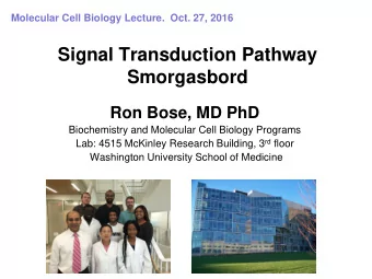 Signal Transduction Pathway Smorgasbord Ron Bose, MD PhD  Biochemistry and Molecular Cell Biology