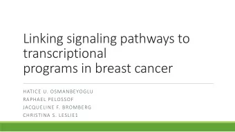 transcriptional  programs in breast cancer  HATICE U. OSMANBEYOGLU  RAPHAEL PELOSSOF  JACQUELINE F.