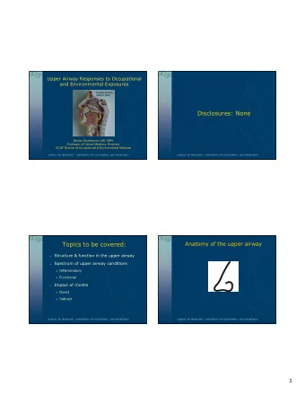 1  Anatomy of the upper airway  Coronal Section of Nasal Turbinates  Turbinates  Courtesy of Wytske