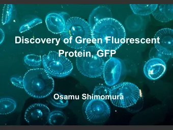 `  Discovery of Green Fluorescent  Protein, GFP  Osamu Shimomura  Ruins of the Medical College of