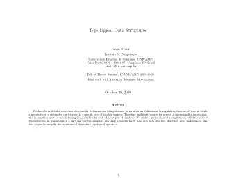 Topological Data Structures  Jorge Stolfi  Instituto de Computa  c  ao  Universidade Estadual