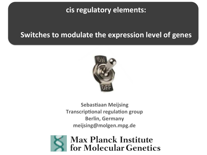 cis regulatory elements switches to modulate the