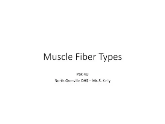 Muscle Fiber Types  PSK 4U North Grenville DHS  Mr. S. Kelly  Slow Twitch Muscle Fibers