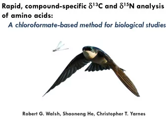 Rapid, compound-specific  13 C and  15 N analysis  of amino acids: A chloroformate-based method