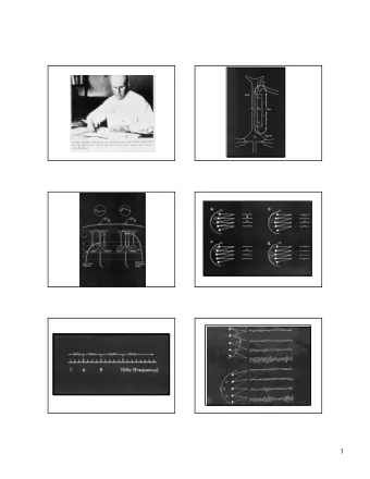 1  Excitatory  Inhibitory  excitation  inhibition  2  excitation  excitation  inhibition