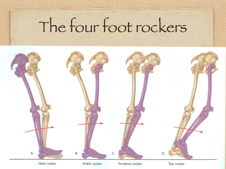 the four foot rockers the sbl in ankle movement