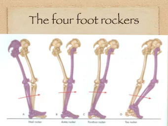 The four foot rockers  The SBL in ankle movement  Functionally, we  prefer the 3, 4,  5