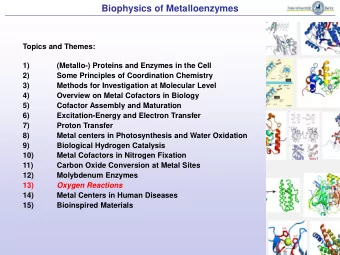 Biophysics of Metalloenzymes  Topics and Themes:  1) (Metallo-) Proteins and Enzymes in the Cell