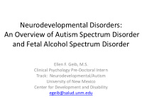 neurodevelopmental disorders an overview of autism