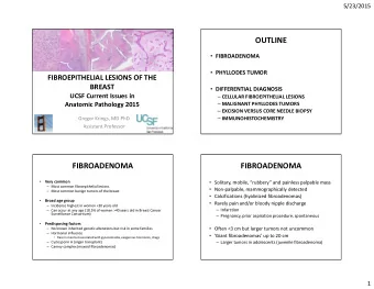 OUTLINE  FIBROADENOMA  PHYLLODES TUMOR  FIBROEPITHELIAL LESIONS OF THE  BREAST