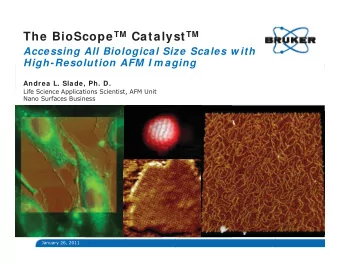 High Resolution I m aging  From  Single Molecules to Cells &amp; Tissues  Higher Order Structures /
