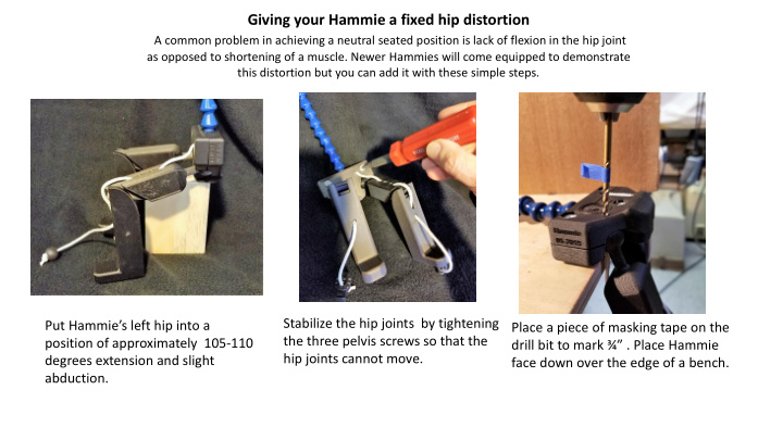 giving your hammie a fixed hip distortion