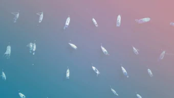 About me  Freek Van der Herten  Partner &amp; developer at Spatie  @freekmurze  freek.dev