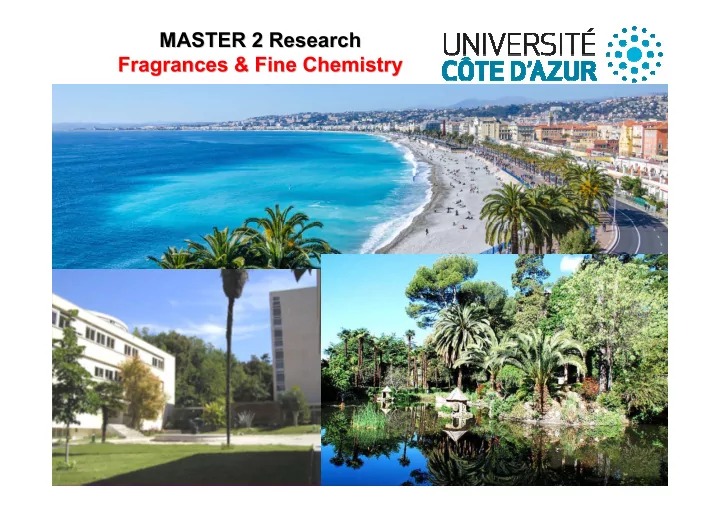 master 2 research master 2 research fragrances amp fine