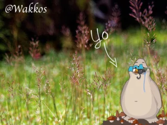 flexbox  float  float:left  float  float  float  float  Dificultad para organizar  El